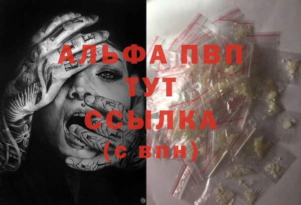 PSILOCYBIN Абдулино