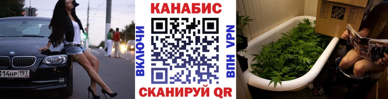 Шишки марихуана MAZAR  Бийск 