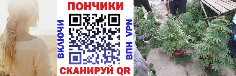 Бошки марихуана THC 21% Бийск